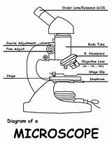Microscope Biology Labelled Algunproblemita sketch template