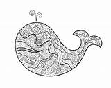 Whale Zentangle sketch template