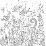 Coloring Johanna Basford Ocean Lost Book Inky Adventure Adult Books Ausmalbilder Amazon Pages Sea Zum Ausmalen Adults Choose Board Sheets sketch template