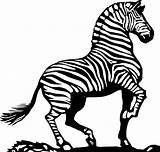 Zebra Realistic Coloring Pages Getcolorings African sketch template