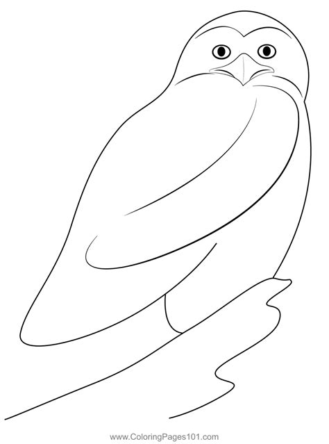 barred owl coloring page  kids  owls printable coloring pages