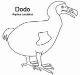 Dodo Outline Pages Coloring Bird Netart Getcolorings sketch template