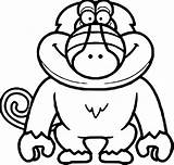Baboon Coloring Pages Cartoon Getcolorings Illustration Color sketch template