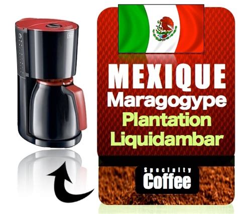 cafe moulu pour cafetiere filtre plantation liquidambar mexique