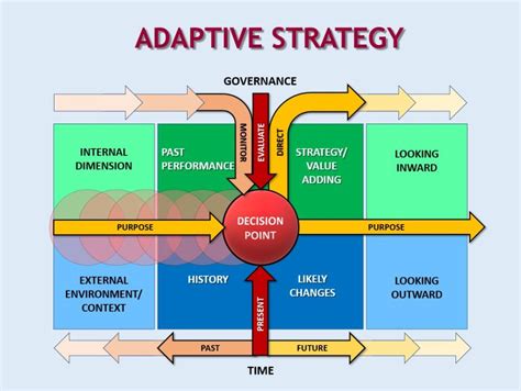 adaptive strategy  care   present
