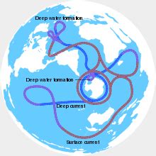 antarctic circumpolar current