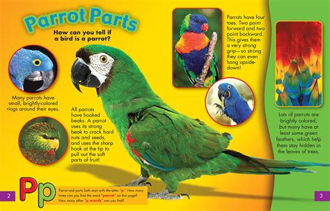 parrot parts nwf ranger rick