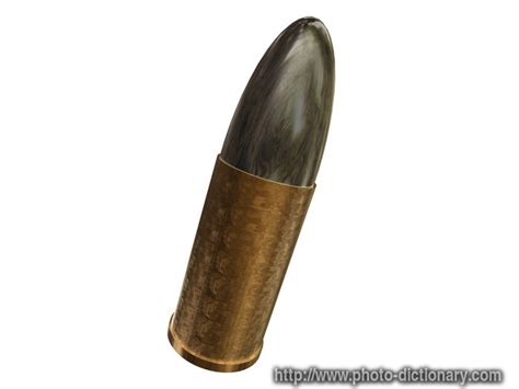 bullet photopicture definition  photo dictionary bullet word  phrase defined