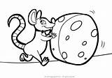 Rato Raton Ratones Ratos Ratinhos Ausmalbilder Ratte Maus Queso Animado Ratas Hiiret Topi Coloring4free Facil Printable Ratti Rotat Ratchet Clank sketch template
