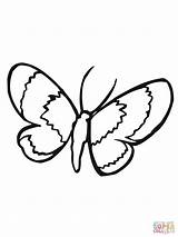 Moth Lepidoptera Coloring Pages Color sketch template