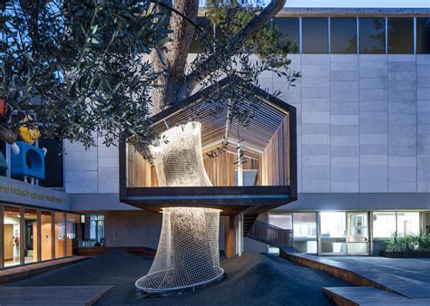 israeli architects grow  tree    playing outdoors green prophet