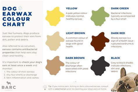 dog earwax colour chart care guide barc london