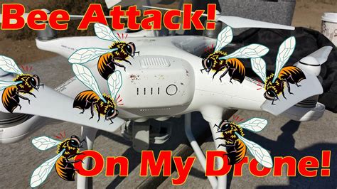 bees attacking drone youtube