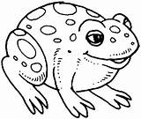 Coloring Bullfrog Pages Big sketch template