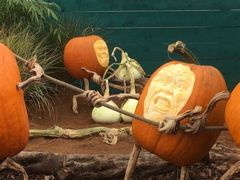 37 Creative Pumpkin Carving Ideas For A Next Level Halloween