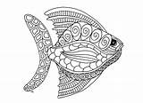 Fish Zentangle Coloring Step Fishes Pages Big Style Adult Animals Olivier Nature sketch template