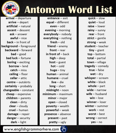 antonyms english