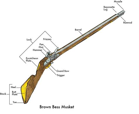 rifle diagrams  muskets  modern day rifles