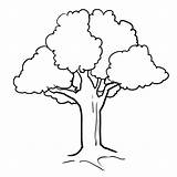 Arbol Arbre árbol Pohon Coloriage Mewarnai Impresion Getcolorings Clipground Webstockreview Cliparts Vbs sketch template