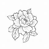 Peony Leafs sketch template