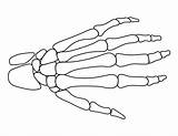 Bones Patternuniverse Manos Draw Cricut Skeletons Henna sketch template