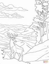Coloring National Park Pages Shenandoah Printable Categories sketch template