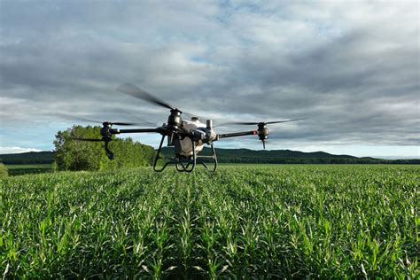 introducing  dji agras  drone bel agro agriculture