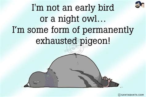 Early Bird Night Owl Meme Ratesbinger