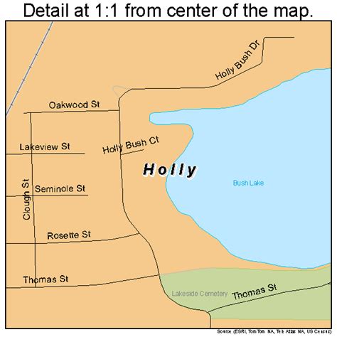 holly michigan street map