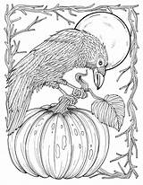 Coloring Fall Adult Digital Crow Harvest Pages Thanksgiving Book sketch template