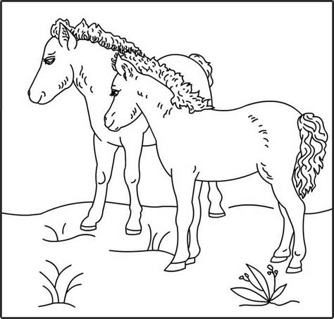 baby horses coloring page collection  pony coloring pages  print