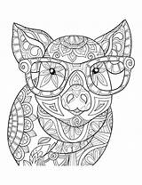 Pigs Book Relieving sketch template