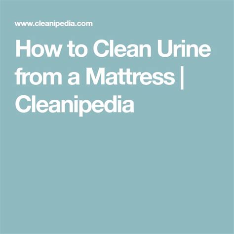 clean urine   mattress  steps cleanipedia uk urinal