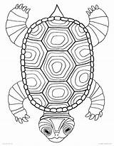 Coloring Turtle Pages Kids Shell Mandala Pond Printable Drawing Outline Color Detailed Sea Snapping Animals Adults Turtles Getcolorings Print Getdrawings sketch template