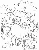 Coloring Pages Kids Bulls Bull Printable Cart Smiling Two Chicago Bullock Ferdinand Colouring Ambulance Drawing Getcolorings Easy Children Bestcoloringpages Choose sketch template