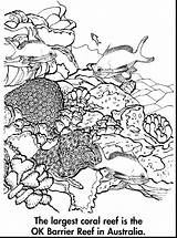 Reef Barrier Coloring Great Coral Pages Drawing Australia Color Printable Kids Ocean Drawings Sheets 18kb 1233 Getdrawings Choose Board sketch template