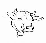Cow Template Head Coloring Outline Drawing Animal Printable Templates Print Pages Color Shape Getcolorings Getdrawings sketch template
