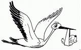 Storch Bringt Malvorlage Malvorlagen Ausmalbild sketch template