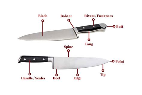 parts   knife  anatomy  kitchen  bbq knives