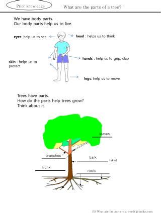 parts   tree powerpoint    id