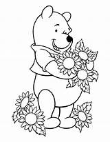 Pooh Coloring Sunflower sketch template