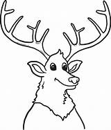 Elk Antler Drawing Coloring Getdrawings sketch template