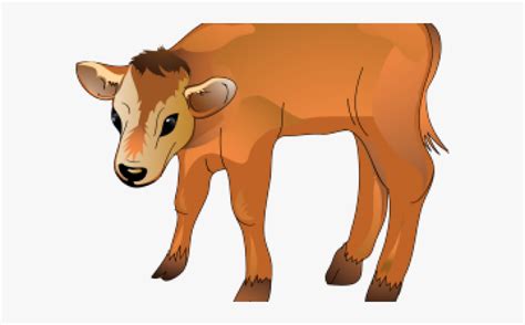 calf cliparts calf cartoon  transparent clipart clipartkey