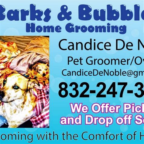 barks bubbles home grooming boarding pet groomer
