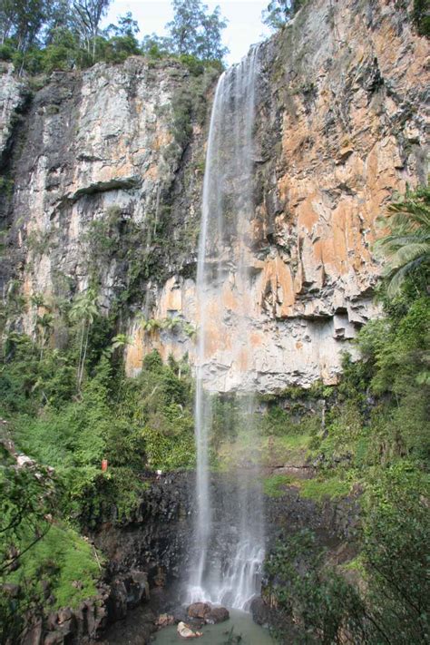 purling brook falls springbrook nps tall plunge waterfall