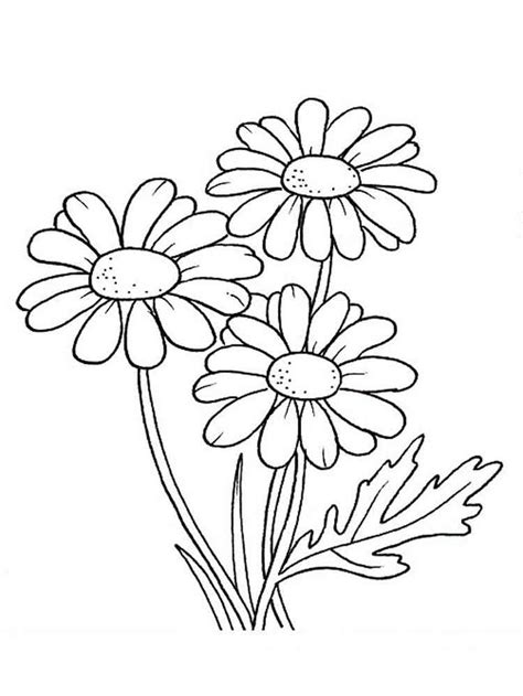 pin en flower coloring pages