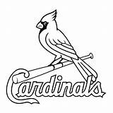 Cardinals Cardinal Stl Louisville Clipartkey Vhv Pngfind Oncoloring Pngitem sketch template