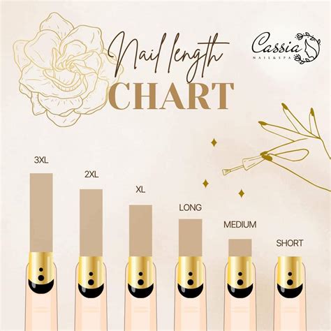 cassia nail spa nail length chart   length