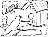 Disegni Birdhouse Casetta Vogelhuisje Uccelli Uccellini Vogelhaus Casette Vogelhuis Kleurplaat Domek Ausmalbild Ausdrucken Supercoloring Vogels sketch template