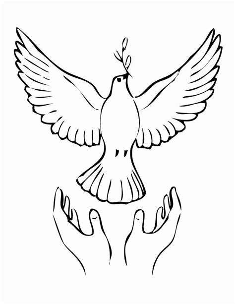 peace dove coloring sheet  kids dove facts pictures